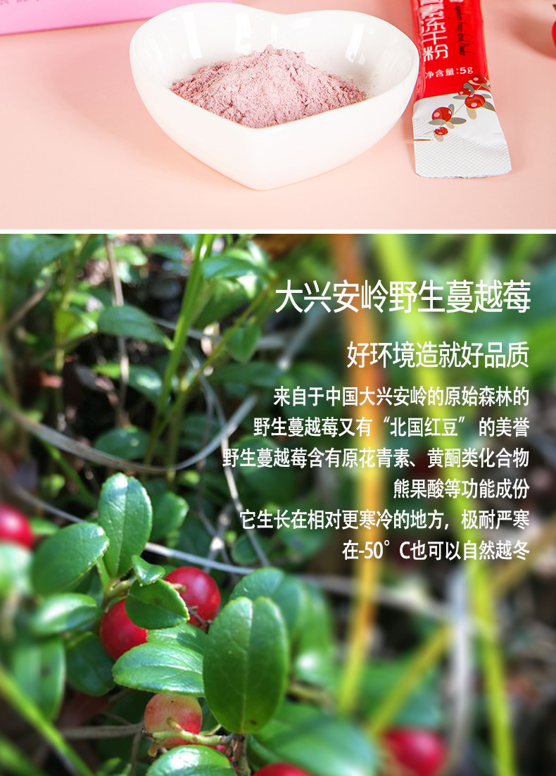 原花青素冻干粉_04.jpg