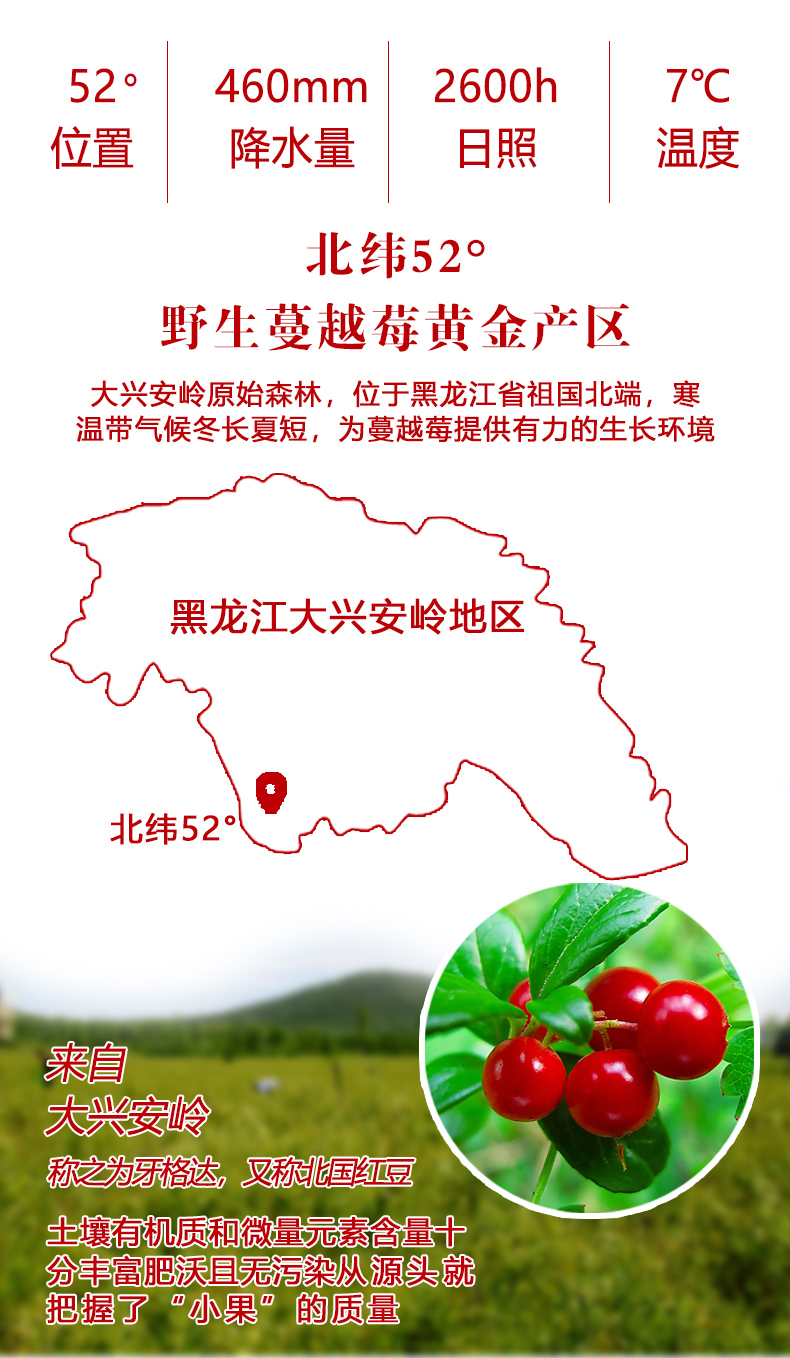 蔓越莓果汁_03.jpg