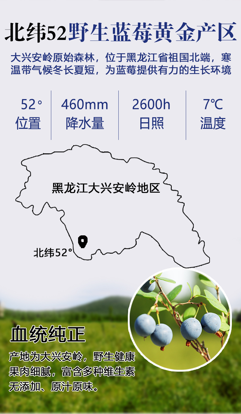 蓝莓果汁_03.jpg
