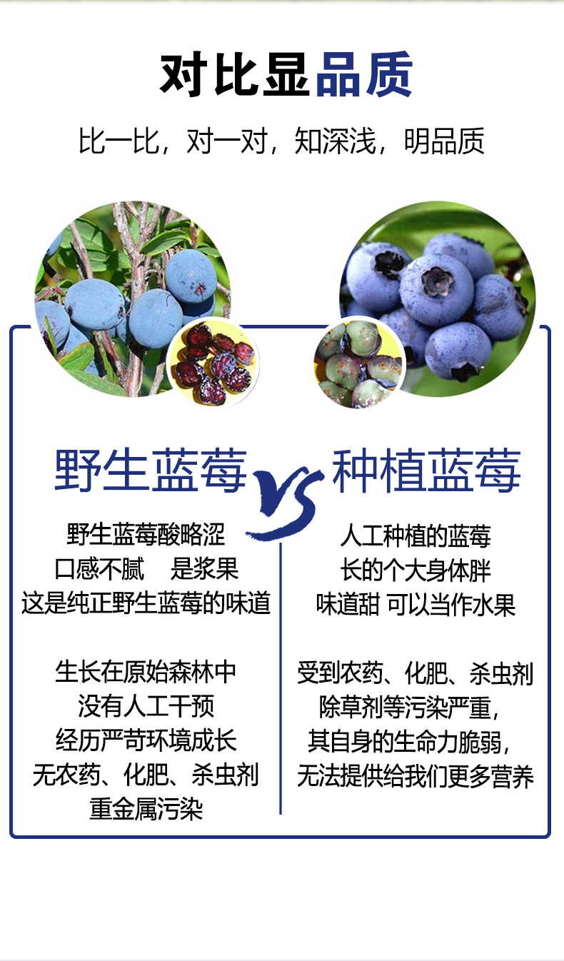 蓝莓果汁_04.jpg